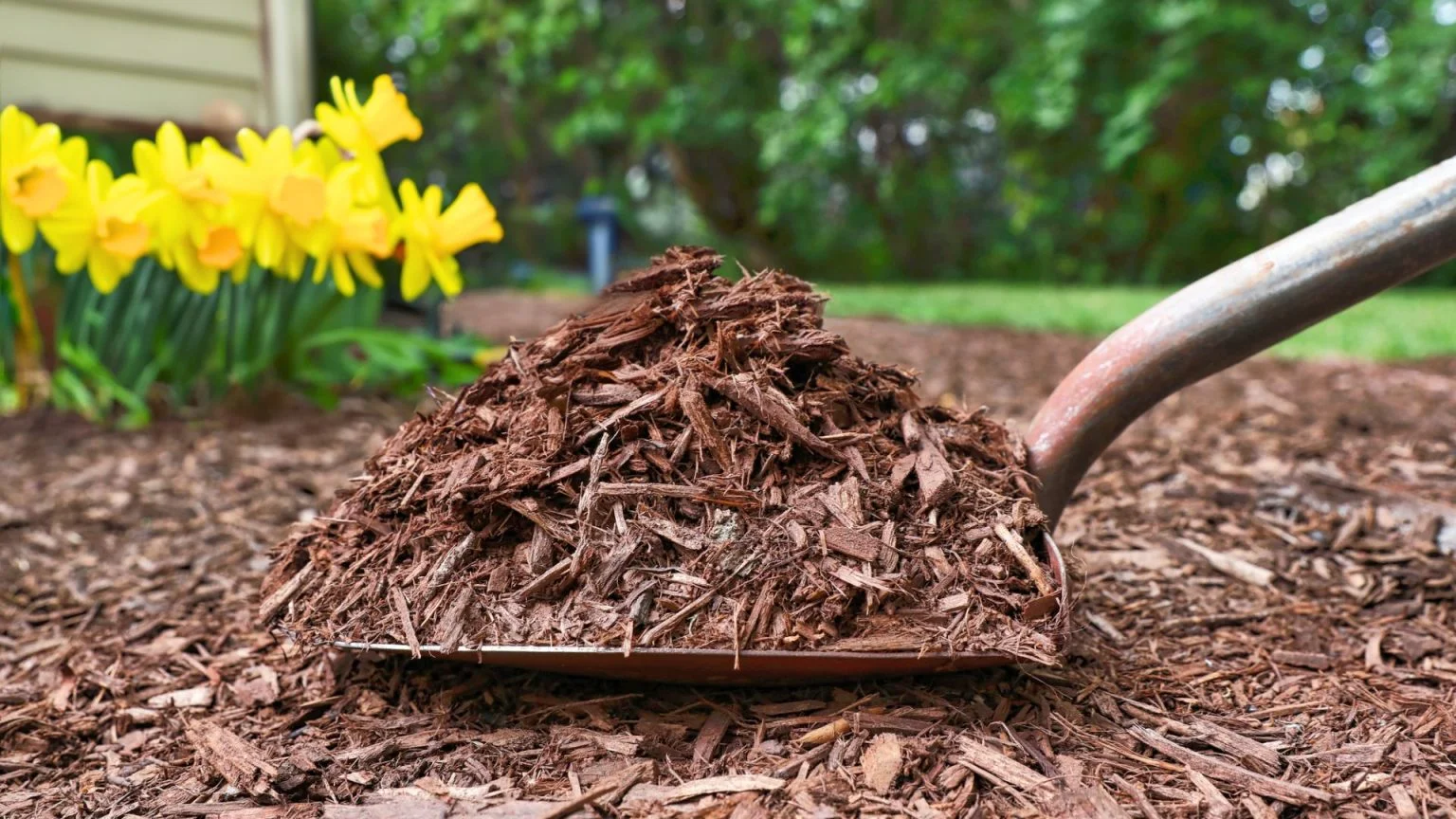 Mulch Installs in Delta, Ohio
