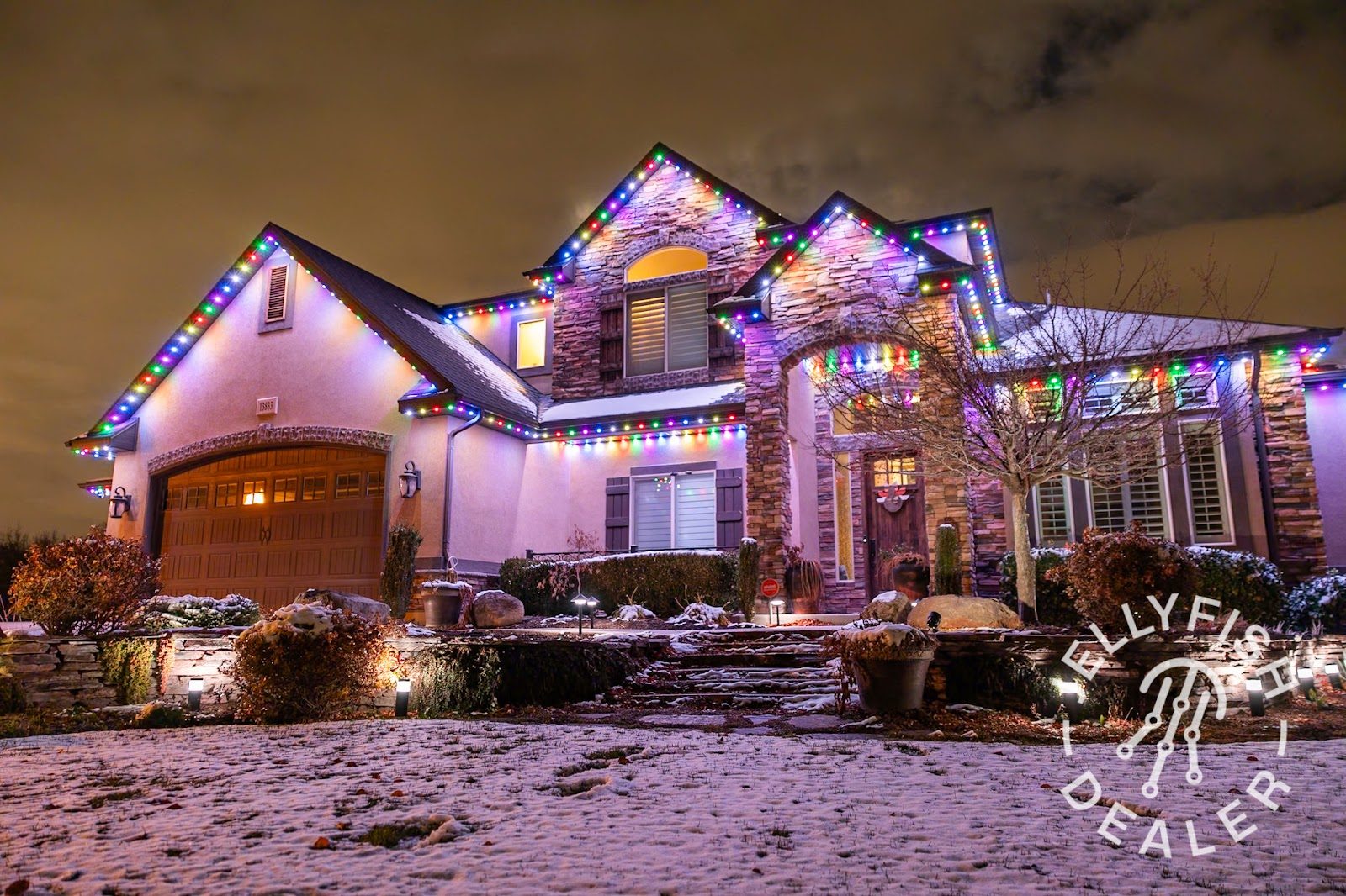 Low-voltage uplighting highlighting a mature tree in a front yard landscape bed