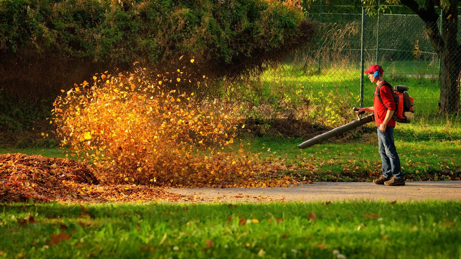 Landscaping crew performing fall yard cleanup, removing leaves and debris from a lawn