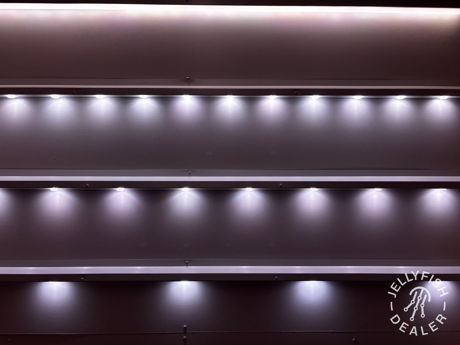 For homes in Northwood that want year-round accent light. in Northwood, Ohio
