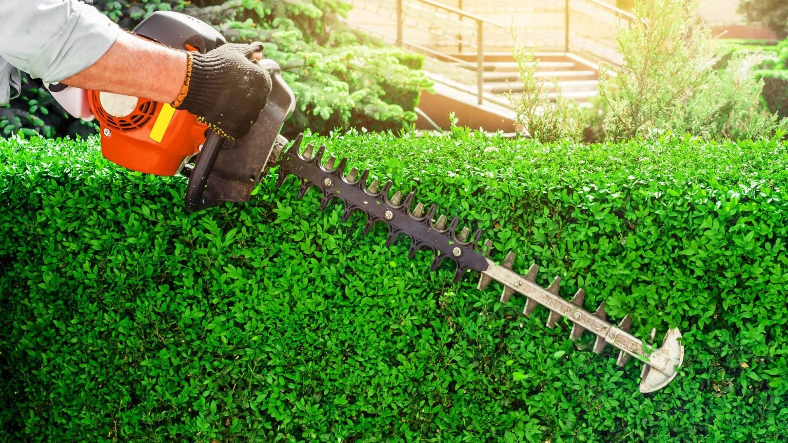 Trimming & Mowing in Delta, Ohio