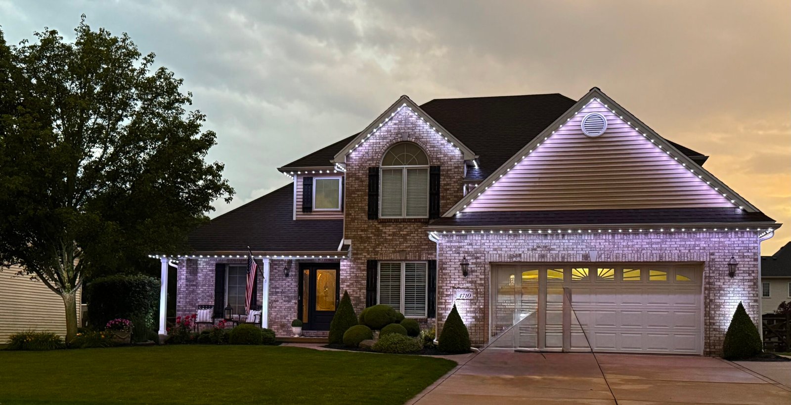 Jellyfish Lighting with Landscape Accents